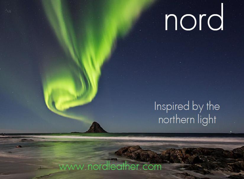 Lommebok/ Kortholder-Nord Leather. Dame skinn Portemone. 9 kortlommer/ myntlomme Rød-BagBrokers