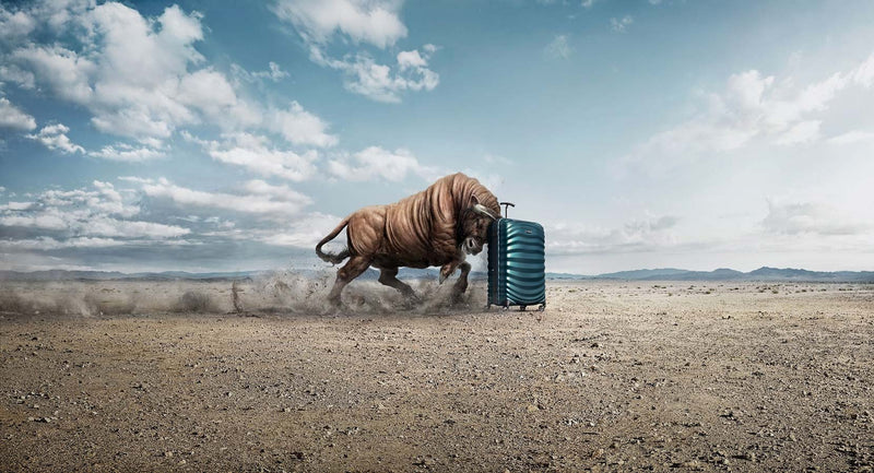 Samsonite Lite Shock