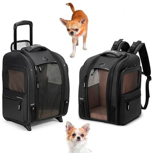 Delsey Raspail Pet Carrier Backpack-Sekker-BagBrokers