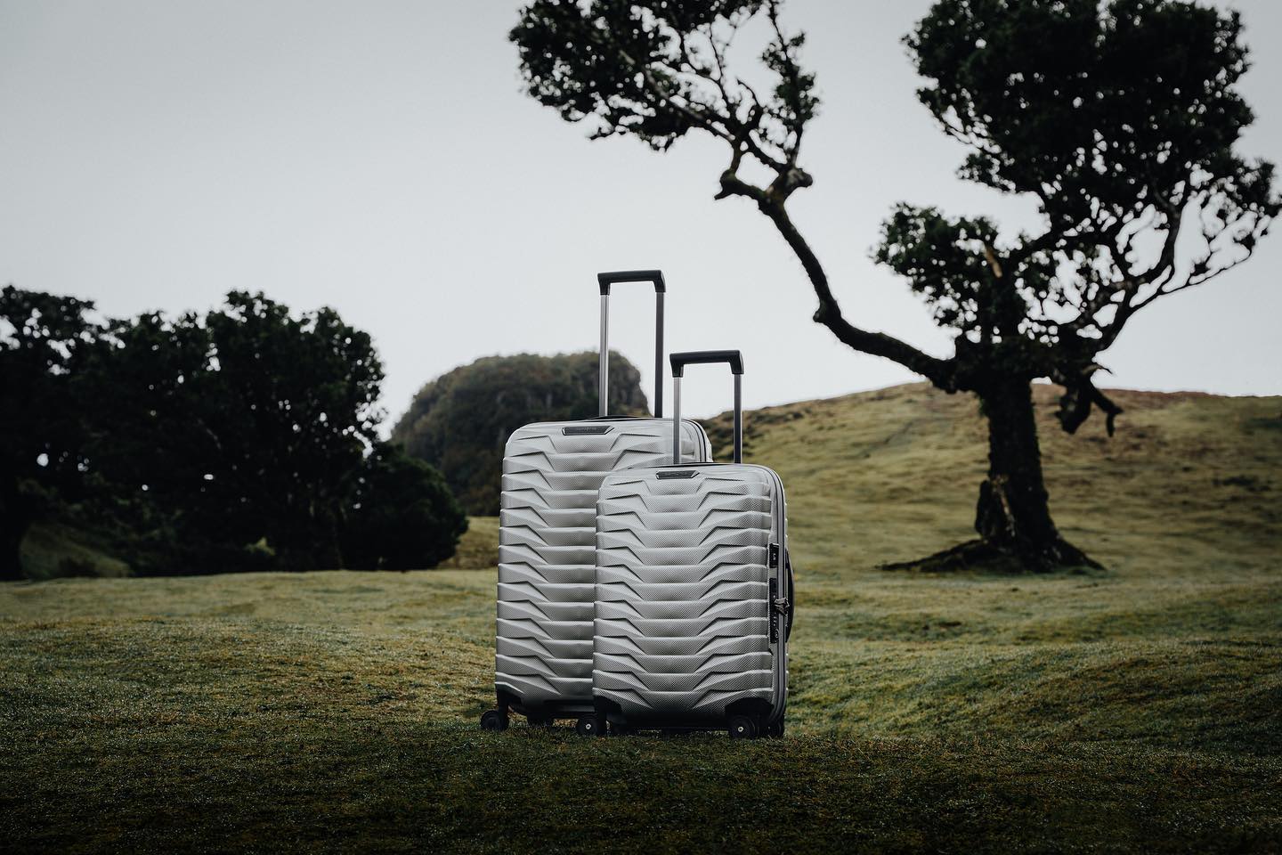 Samsonite PROXIS Utvidbar kabinkoffert 55 cm med 4 hjul Silver-Harde kofferter-BagBrokers
