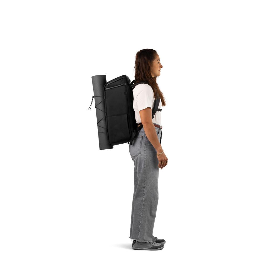 Zeeksack elastisk bagasjerem festet til The Organizer med matte